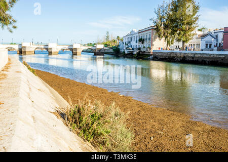 Pont romain sur historique in the Golfer's Paradise River à Tavira, Algarve, Portugal Banque D'Images