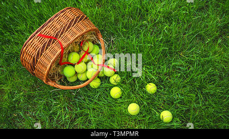 Tennis Pâques avec des balles de tennis dans un panier sur l'herbe verte. Selective focus, copiez l'espace. Banque D'Images