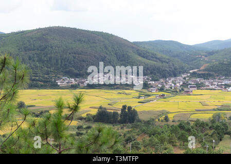 Honghe Hani Rice Terraces est la terrasse situé dans la préfecture de Honghe, Yuanyang County, Yunnan, Chine. C'est un site du patrimoine mondial et l'une des cultures Banque D'Images