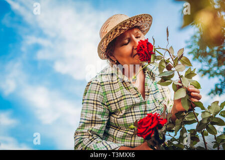 Senior woman smelling flowers in garden. Retraités Personnes âgées woman enjoying hobby Banque D'Images