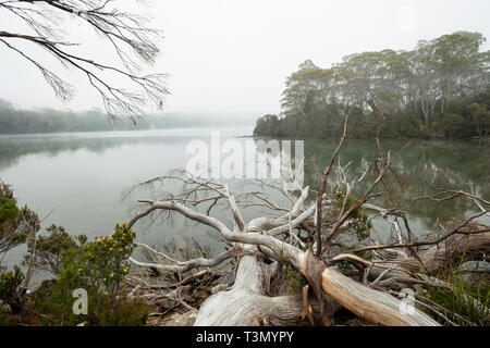 Lac de l'ombre. Parc national de la rivière Sainte-Claire. Tasmanie Banque D'Images