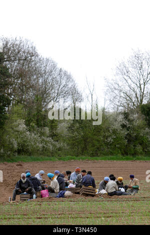 Les anciens travailleurs sikhs de Birmingham ayant leur pause déjeuner. Le Warwickshire. 27/04/2006 Banque D'Images