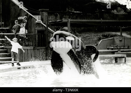 Acteur Jason James Richter dans le film Free Willy, 1993 Banque D'Images