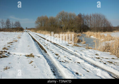 La fonte de la neige sur un chemin de terre à travers une prairie sauvage, le cep et un ciel nuageux ciel bleu Banque D'Images