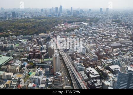 La vue sur Tokyo y compris Parc Yoyogi, vu depuis le 44e étage de l'hôtel Park Hyatt. Banque D'Images