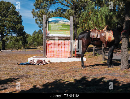 Pèlerin du Mexique près de coucher son cheval, Izta-Popo Zoquiapan Parc National, Mexique Banque D'Images