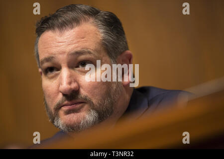 Washington, District de Columbia, Etats-Unis. 10 avr, 2019. (Président) Président de l'United States Senate Committee on the Judiciary Ted Cruz (républicain du Texas) Livre d'ouverture avant le témoignage de Carlos Monje, Junior, le directeur de la politique publique et la philanthropie à Twitter, et Neil Potts, le directeur de la politique publique à Facebook, sur la colline du Capitole à Washington DC le 10 avril 2019 Credit : Stefani Reynolds/CNP/ZUMA/Alamy Fil Live News Banque D'Images