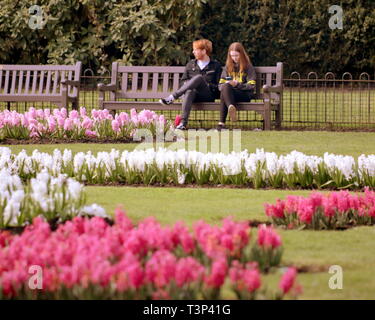 Glasgow, Ecosse, Royaume-Uni. Apr 11, 2019. Météo France : journée d'été ensoleillée dans le parc Victoria, comme la ville, espaces verts fleur atteindront leur point culminant s'affiche dans l'ensoleillement et des températures élevées dans le centre-ville. Credit : Gérard ferry/Alamy Live News Banque D'Images