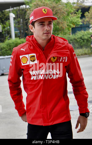 Shanghai, Chine. Apr 11, 2019. Charles Leclerc, Scuderia Ferrari, formule 1, GP de Chine à Shanghai, 11.04.2019 Crédit : mspb/Jerry Andre *** *** Local Caption RUBIO | worldwide/dpa/Alamy Live News Banque D'Images