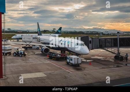 Curitiba - PR, Brésil - février 19, 2019 : Avion de l'Azul compagnie compagnies aériennes à l'Aeroporto Internacional l'aéroport Afonso Pena. Charger des bagages Banque D'Images