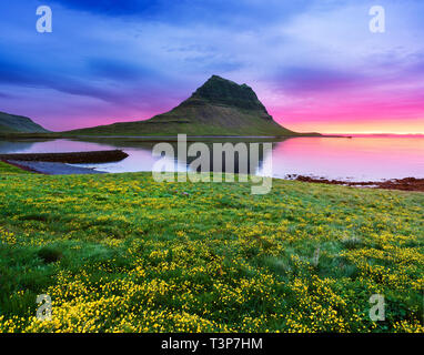 Kirkjufell Mountain près de la ville de Grundarfjordur. L'attraction touristique de l'Islande. Paysage avec des fleurs jaunes sur l'océan et un magnifique coucher de soleil Banque D'Images