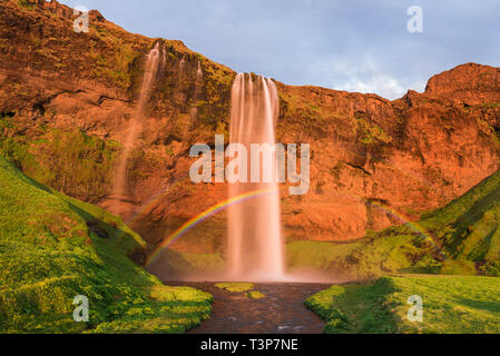 Cascade de Seljalandsfoss. Paysage d'été avec un arc-en-ciel et d'une rivière. Compte tenu de l'incroyable le soleil du soir. Célèbre attraction touristique de l'Islande Banque D'Images