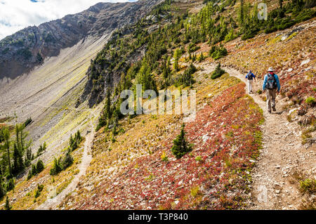 Deux hommes de randonnée quelques lacets dans le Nord de la chaîne des Cascades sur le Pacific Crest Trail juste au nord de Harts Pass, Washington, USA. Mo Banque D'Images