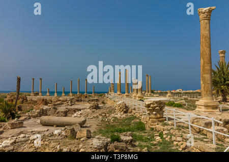 Ruines romains sur des pneus dans le sud du Liban Moyen Orient Banque D'Images