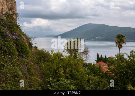 Vue sur les Bouches de Kotor à partir de la forteresse de Kanli Kula (Tour- sanglante), Herceg Novi, Monténégro Banque D'Images