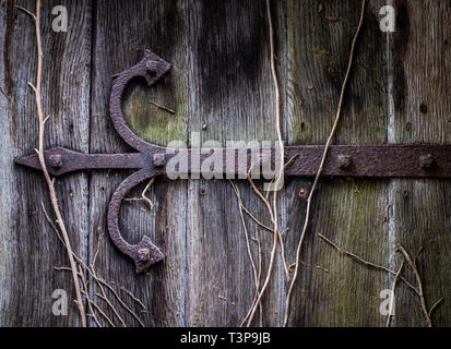 Charnière de porte rouillée antique sur une vieille église ou cathédrale porte avec vignes Banque D'Images