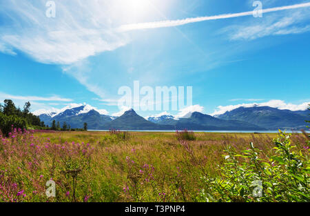 Paysages d'été inhabituelle de l'Alaska, United States. Banque D'Images