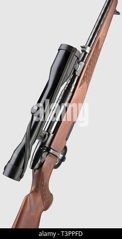 Armes longues, armes de chasse modernes, fusil de chasse, Additional-Rights Clearance-Info-Not-Available- Banque D'Images