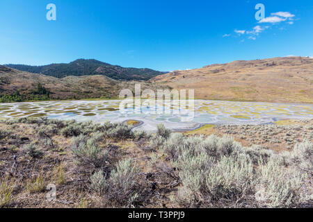 Spotted Lake en Colombie-Britannique, Canada Banque D'Images