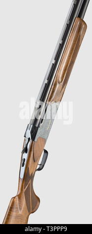 Armes longues, armes de chasse modernes, fusil de chasse, Editorial-Use-seulement Banque D'Images