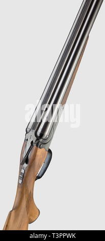 Armes longues, armes de chasse modernes, fusil de chasse, Additional-Rights Clearance-Info-Not-Available- Banque D'Images