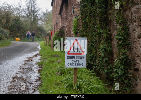 Attention les chats Crossing Uk Road Traffic Sign signe Panneaux Banque D'Images