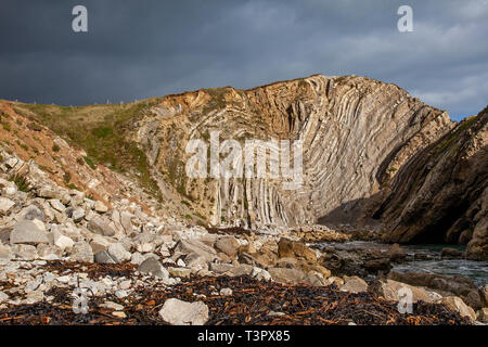 Célèbre Stairhole rock strata à Lulworth Cove, rochers, Dorset UK, a appelé la boulette de Lulworth, et causés par les mouvements de la plaque continentale. Banque D'Images