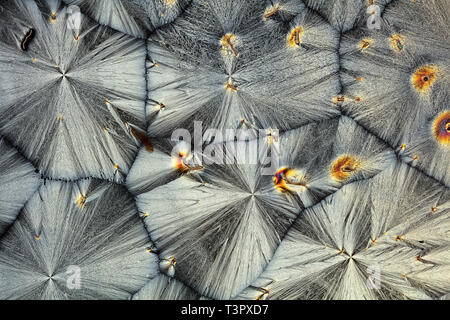 Vue microscopique des cristaux de vitamine C formant des motifs colorés complexes, créant un paysage abstrait vivant de texture, de couleur et de lumière Banque D'Images
