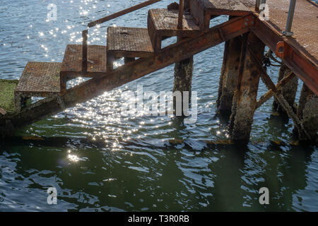 J'ai trouvé ce vieux, rouillé, mystérieux escalier à la profondeur de la rivière Sumida quand j'ai pris mon quotidien très tôt le matin à pied à Asakusa. Banque D'Images