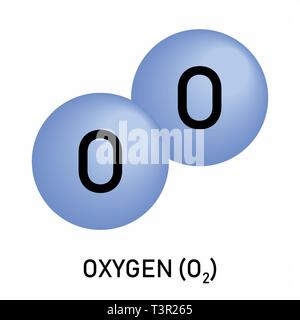 Molécule modèle de chimie de l'oxygène diatomique O2 élément ...