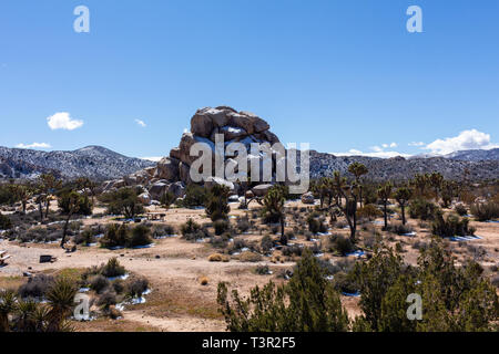 Matin d'hiver dans la région de Joshua Tree National Park. Banque D'Images