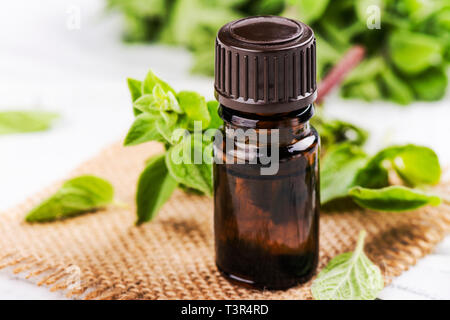 L'huile essentielle d'origan origan frais et blanc sur fond de bois. Copy space Banque D'Images