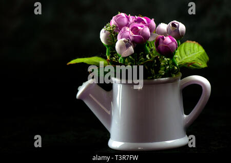 Fleurs de couleur noire plantés dans les pots de fleurs sur le sol planté Banque D'Images