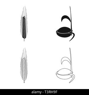 L'hiver,graines,grandir,printemps,root,épi de blé dur,Culture,germe de blé,de,la germination,paille,processus,meadow,DE,plantation,évolution,rural,agriculture,agriculture,plantes,seigle blé,maïs,grain,récolte,ferme,,champ,set,icône,,illustration,collection,isolé,design,graphisme,élément,signe, vecteurs vecteur , Illustration de Vecteur