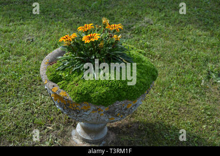 Ancien vase en pierre ronde en béton avec des fleurs, de l'installation de décoration en style retro Banque D'Images