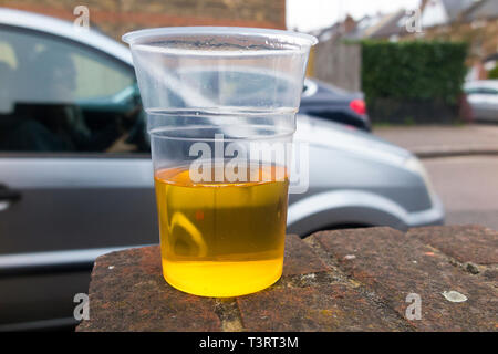 Déménagement voiture passé un semestre de bécher en plastique vide lager pour illustrer le thème de la bu / verre conducteur, et conduite automobile sous l'influence de l'alcool. Angleterre (108) Banque D'Images