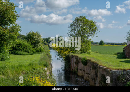 Louth Canal à Alvingham Banque D'Images