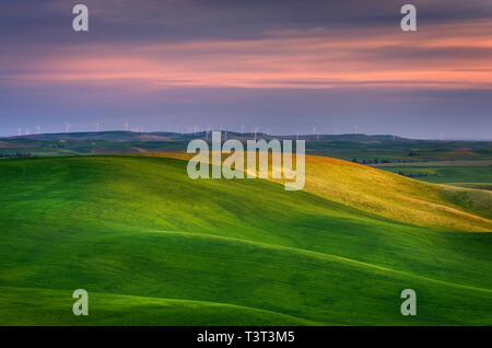 Rolling green hills in rural landscape Banque D'Images