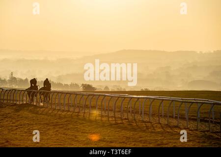 Jockeys et chevaux de course pendant l'entraînement du matin sur les galops de Middleham, Yorkshire du Nord Banque D'Images