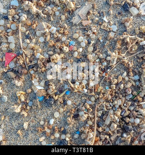 Microplastics trouvés sur le rivage d'une plage de Lanzarote. La pollution de la mer par le plastique, Îles Canaries Banque D'Images