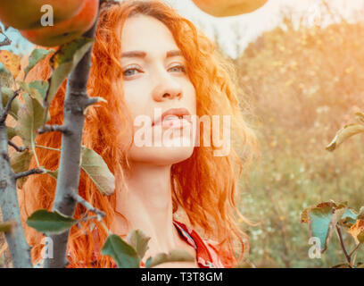 Red-haired girl portrait dans le jardin pour les feuilles et les fruits de l'apple tree Banque D'Images