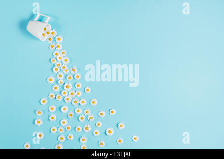 Mise en page créative faite de café ou de thé tasse à fleurs blanches sur fond bleu. Tasse de camomille verser dehors. Printemps, été concept. Télévision lay, top vie Banque D'Images
