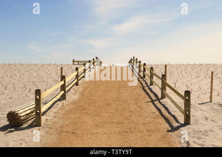 De nouvelles rampes des dunes et de la plage construit dans le cadre de projets de conservation et restauration de la plage, Lavalette, New Jersey, USA Banque D'Images