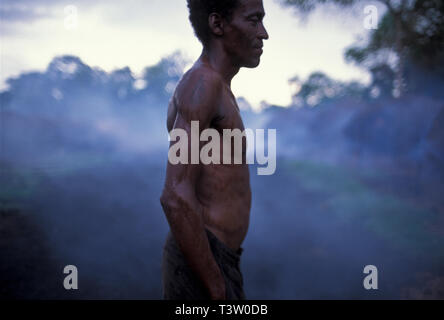 La production de charbon végétal pour être utilisé comme combustible pour produire de la fonte brute - le produit intermédiaire de la fonte de minerai de fer - augmente la déforestation biome Cerrado - l'État du Mato Grosso do Sul, centre-ouest du Brésil. Aciéries modernes et d'une ligne de fer de réduction du fer en fusion le transfert des plantes à l'aide d'une louche pour une utilisation immédiate dans les fours d'acier. Banque D'Images
