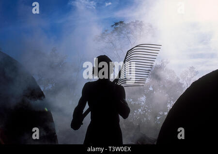 La production de charbon végétal pour être utilisé comme combustible pour produire de la fonte brute - le produit intermédiaire de la fonte de minerai de fer - augmente la déforestation biome Cerrado - l'État du Mato Grosso do Sul, centre-ouest du Brésil. Aciéries modernes et d'une ligne de fer de réduction du fer en fusion le transfert des plantes à l'aide d'une louche pour une utilisation immédiate dans les fours d'acier. Banque D'Images