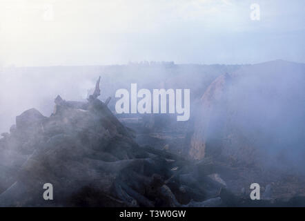 La production de charbon végétal pour être utilisé comme combustible pour produire de la fonte brute - le produit intermédiaire de la fonte de minerai de fer - augmente la déforestation biome Cerrado - l'État du Mato Grosso do Sul, centre-ouest du Brésil. Aciéries modernes et d'une ligne de fer de réduction du fer en fusion le transfert des plantes à l'aide d'une louche pour une utilisation immédiate dans les fours d'acier. Banque D'Images