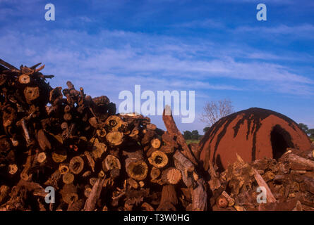 La production de charbon végétal pour être utilisé comme combustible pour produire de la fonte brute - le produit intermédiaire de la fonte de minerai de fer - augmente la déforestation biome Cerrado - l'État du Mato Grosso do Sul, centre-ouest du Brésil. Aciéries modernes et d'une ligne de fer de réduction du fer en fusion le transfert des plantes à l'aide d'une louche pour une utilisation immédiate dans les fours d'acier. Banque D'Images
