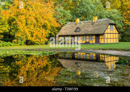 Vieille maison à pans de bois jaune avec toit de chaume en Charlottenlund forêt, Danemark Banque D'Images