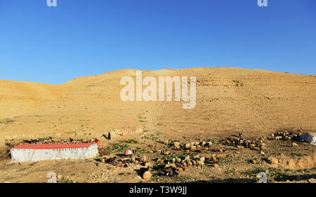 Des bédouins dans le désert près de la mer Morte en Jordanie. Banque D'Images