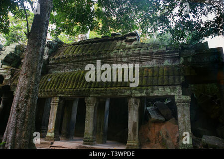 Galerie ruine, cour intérieure, Ta Prohm, Angkor, Cambodge Banque D'Images